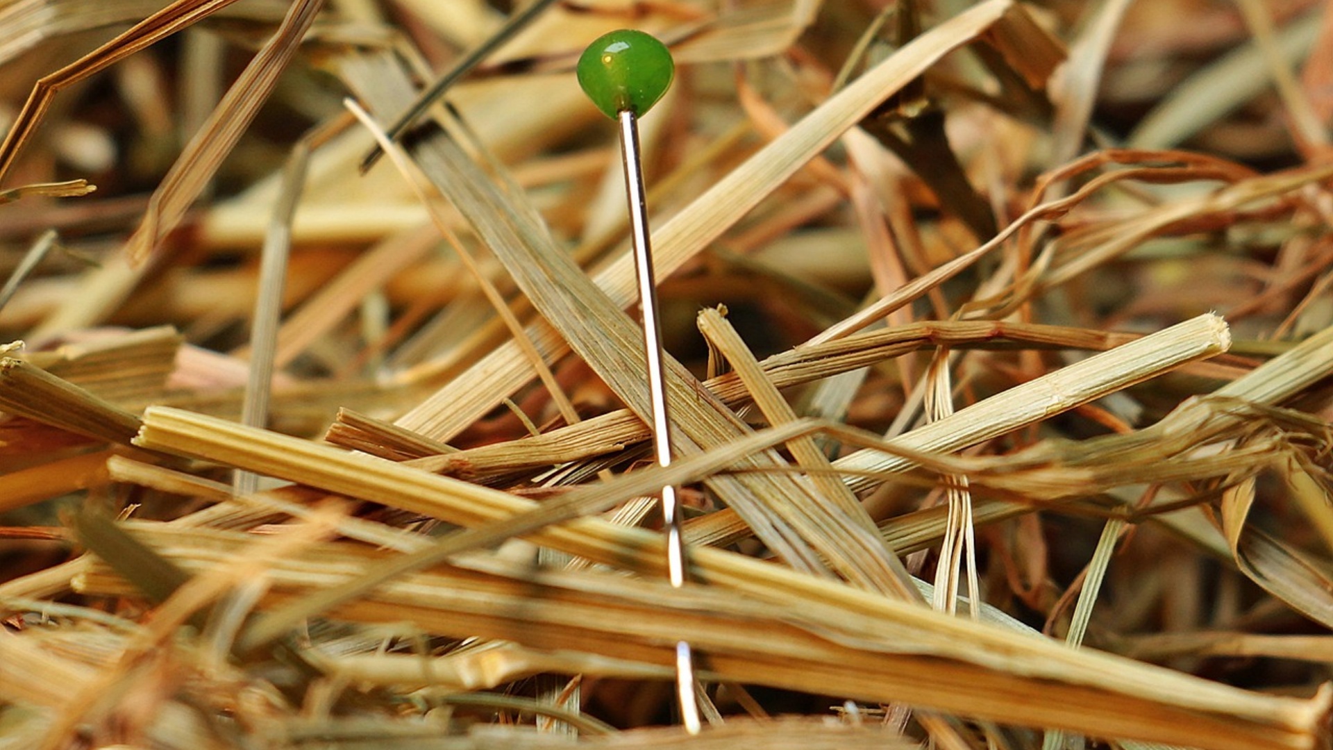 Needle in Haystack